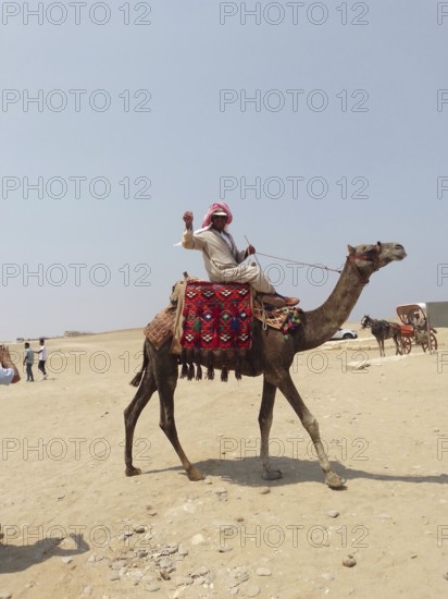 A photogenic Bedouin on a camel poses for tourists near the Great Pyramids of Giza, in the sands of