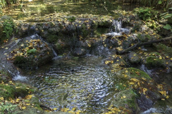 Ronda, malaga, spain Small stream in an autumn forest, water flowing over moss-covered rocks and