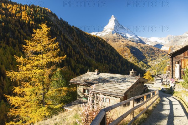 Matterhorn Mountain, Houses of Village, Wooden Path and Yellow Larches in Autumn in Sunny Morning.