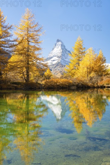 Matterhorn Mountain and Yellow Larches in Autumn on Sunny Day. Reflection in Lake Grindjisee. Swiss