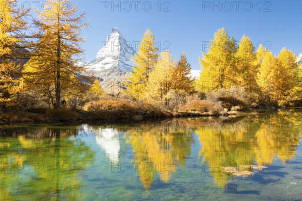 Matterhorn Mountain and Yellow Larches in Autumn on Sunny Day. Reflection in Lake Grindjisee. Fall