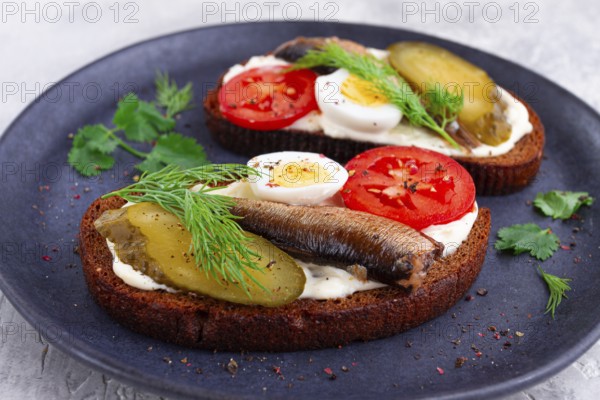 Sandwiches on rye bread with sprats, quail eggs, fresh tomatoes and pickled cucumber, on a dark