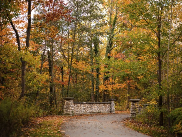 Pathway leading to a stone bridge with trees in autumn colors along the Thames Valley Parkway in