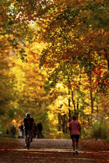 A person cycling and another walking on a trail with vivid autumn colors on the Thames Valley