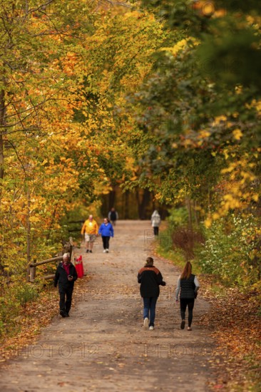 People walking on a path surrounded by vibrant autumn foliage on the Thames Valley Parkway in