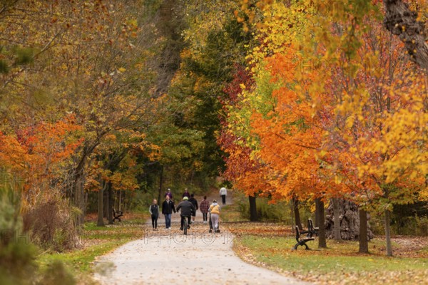 People strolling along a park path surrounded by vibrant autumn trees on the Thames Valley Parkway