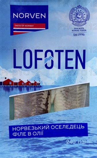 Norwegian herring fillets in oil, packaged. Atlantic herring caught off the coast of the Lofoten