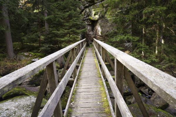 A small wooden bridge leads through a forest, surrounded by rocks and tall trees, Höllfall