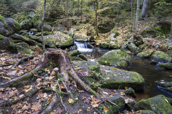 A tree stump lies on mossy stones, surrounded by autumn leaves and a small river, Höllfall