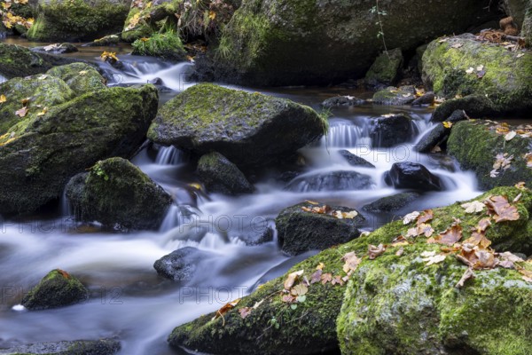 Flowing water over moss-covered stones surrounded by autumn leaves in the forest, Höllfall