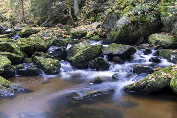 A stream flows peacefully over moss-covered stones in the autumnal forest, Höllfall Arbesbach
