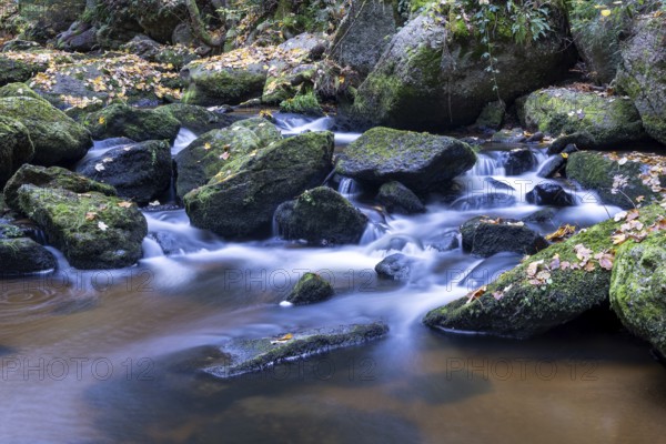 Flowing water over moss-covered stones in a quiet forest, surrounded by autumn tones, Höllfall