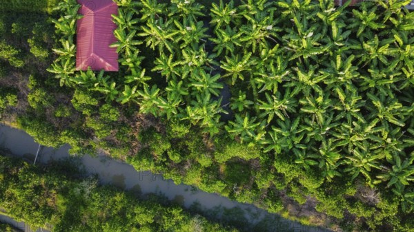 Land used for agriculture in Vietnam, Asia, seen from above
