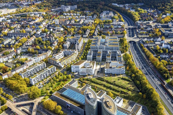 Aerial view, Messeallee office building, A52 motorway, autumn trees and tree-lined avenue,