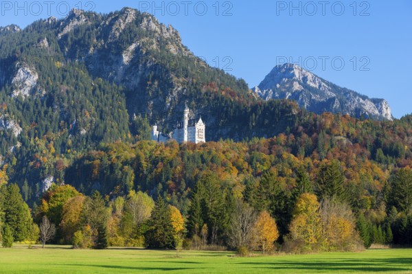 Neuschwanstein Castle in an extensive autumn landscape with mountains and green meadows in the