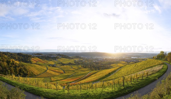 Extensive panorama of the vineyards on Kappelberg near Fellbach in warm evening light with views of