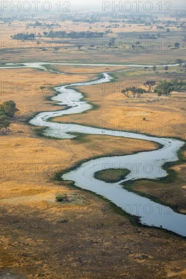 River landscape, idyllic river course with flocks of animals, savanna, aerial view, Okavango Delta,