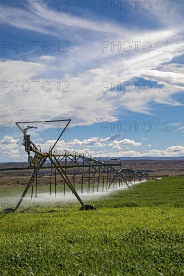 Alcova, Wyoming - Sprinklers water a crop growing in the Wyoming desert. Water in this otherwise