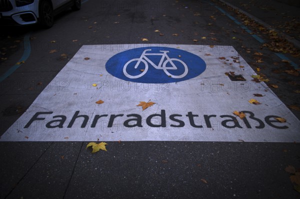 Traffic sign bicycle road, logo, on asphalt of a road, autumn leaves, leaves, autumn, Feuerbach