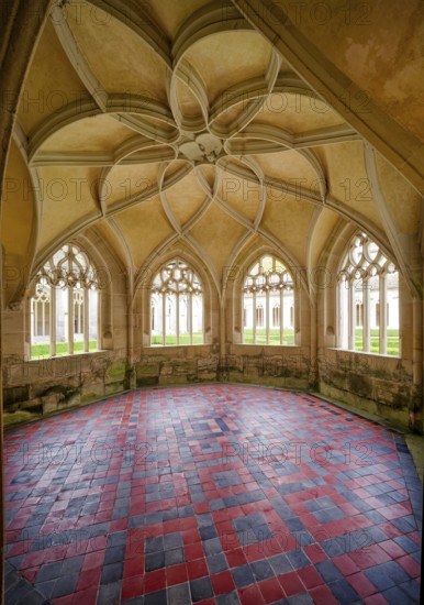 Loop star vault, interior view, Bebenhausen Abbey, former Cistercian Abbey, monastery complex,