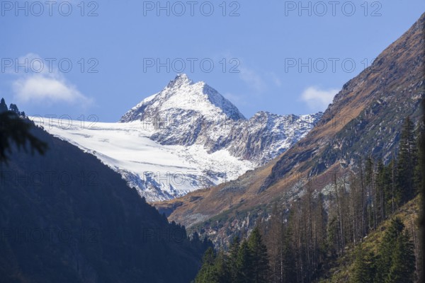 Forest and mountains with Stubai Glacier and Aperer Pfaff near Ranalt in autumn, Ranalt, Neustift