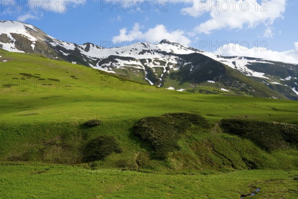 Green meadows in front of snow-covered mountains under a blue sky with clouds, Zagari Pass,