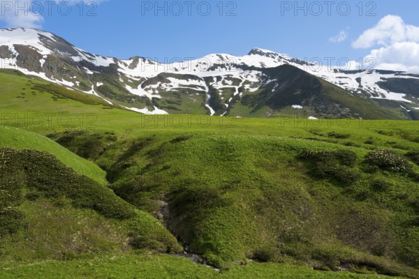 Wide green hills under clear skies with snowy peaks, Zagari Pass, Svaneti, Svaneti, Greater