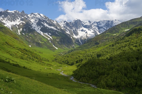River flows through green valley with snow-covered mountain views, Zagari Pass, Svaneti, Svaneti,