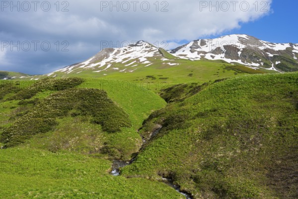 Hilly green valleys with snow-covered mountain ridges and clouds, Zagari Pass, Svaneti, Greater