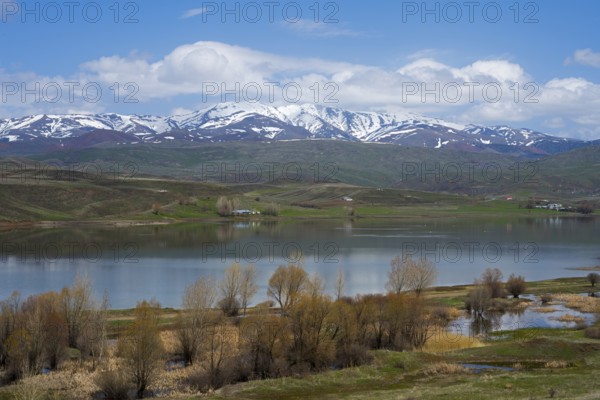 Peaceful landscape with a lake surrounded by snow-capped mountains. Trees and meadows dot the shore