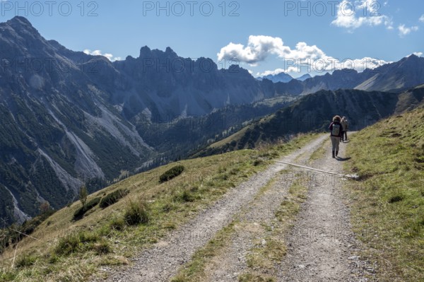 Hiking trail, view from the Saalfelder Höhenweg to the mountains of the Allgäu Alps, Tannheimer