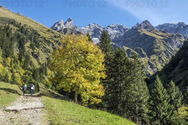 Hiking trail in Bacherloch Valley, back mountains of the Allgäu Alps with Trettachspitze,