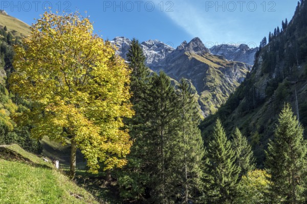 Bacherloch Valley, behind mountains of the Allgäu Alps, autumn atmosphere, autumn-colored trees,