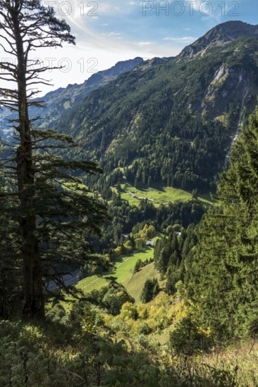 View of Bacherloch Valley and Rappenalp Valley with Buchrainer Alpe, Einödsbach, Birgsau,