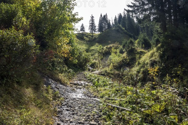 Wanderweg zum Einödsberg, Einödsbach, Oberstdorf, Oberallgäu, Allgäu, Bavaria Germany