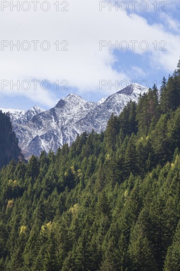 Forest and mountains on the Wilde Wasser Weg in autumn, WildeWasserweg, Stubai Valley, Tyrol,
