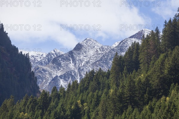 Forest and mountains on the Wilde Wasser Weg in autumn, WildeWasserweg, Stubai Valley, Tyrol,