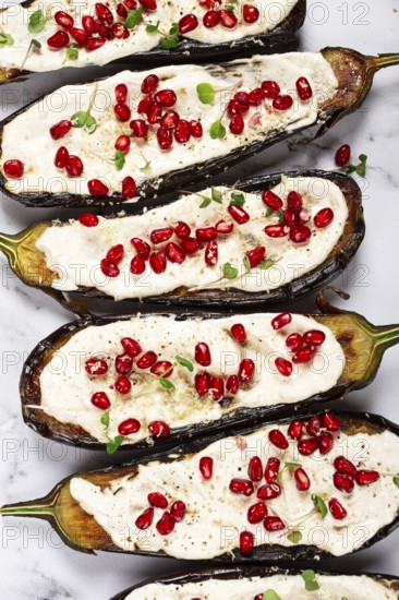 Fried eggplant with sauce, decorated with microgreens and pomegranate seeds, eggplant appetizer,