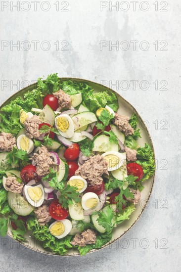 Tuna salad, vegetable salad with quail eggs, lettuce, red onion and cucumbers, on a light gray