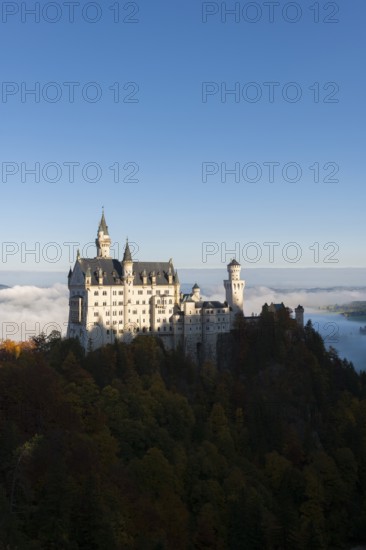 Neuschwanstein Castle towers over a sea of clouds and forests in the autumn sun, Schwangau near