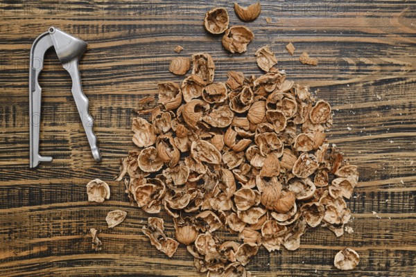 Brown nut shells are spread out on a textured wooden surface, alongside a silver nutcracker. It