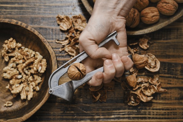 A person is holding a metal nutcracker, squeezing it to crack open a walnut. Chopped walnuts and