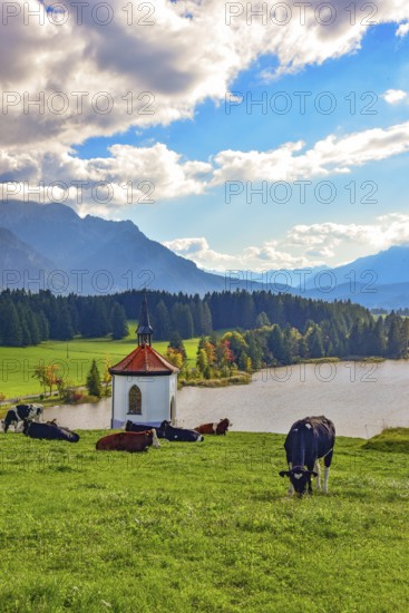 Chapel above the Hegratsried pond between Lake protected forest and Lake Forggensee near Füssen im