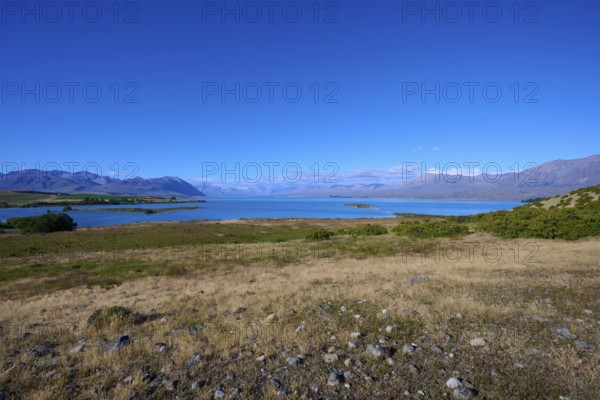 Large expanse of water surrounded by mountains and a grassy shoreline under a clear sky, Lake