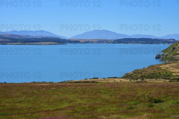 A calm lake with views of mountains and a grassy shoreline under clear blue skies, Lake Tekapo,