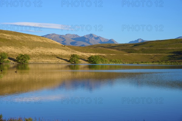 Calm lake with mountains and blue sky in the background, Lake McGregor, Tekapo, Canterbury, South