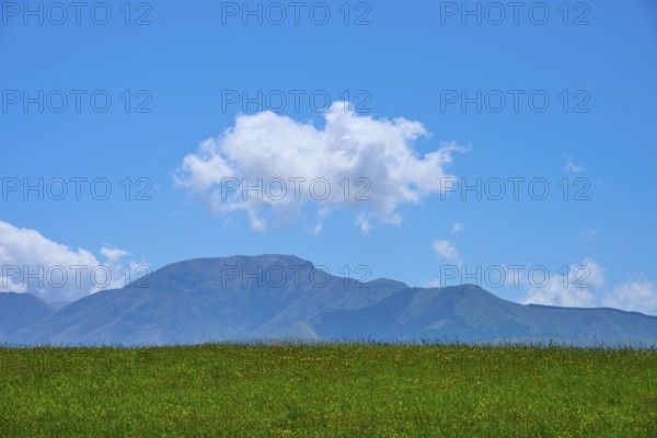 Green field with distant mountains and a cloud in the blue sky, Geraldine Fairlie Lookout,