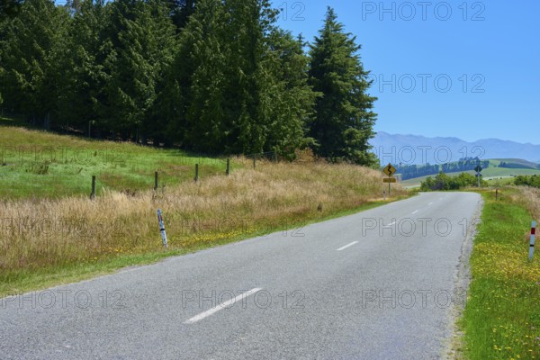 Rural road between trees and meadows in front of a mountain panorama, Geraldine Fairlie Lookout,