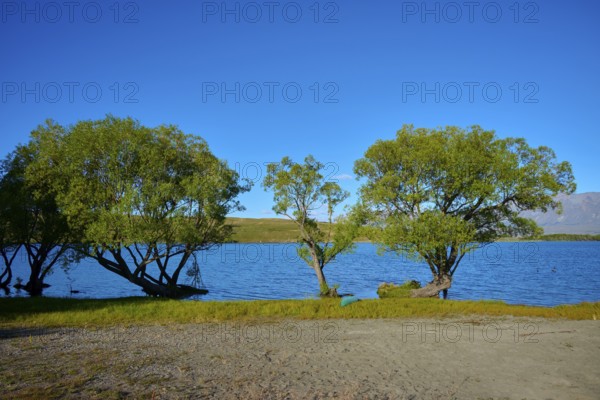 Tranquil landscape with trees on the shores of a quiet lake under clear blue sky, Lake McGregor,
