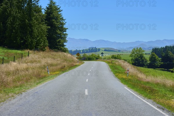 Rural road lined with trees with views of distant mountains, Geraldine Fairlie Lookout, Geraldine,
